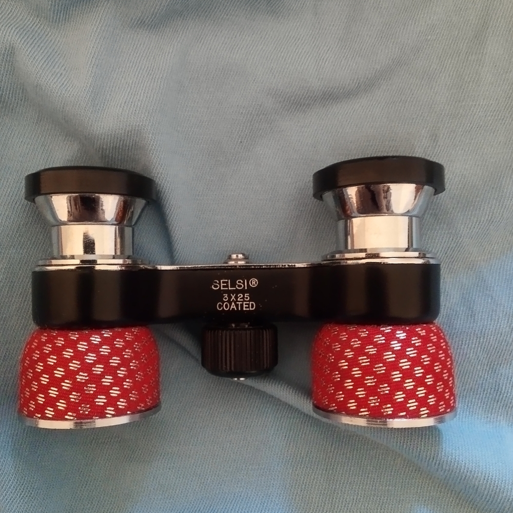 Vintage opera binoculars and case
